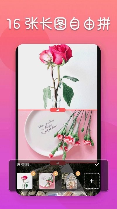 图片编辑照片软件(更名照片编辑器)