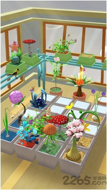 小小阳台植物乐园手机版