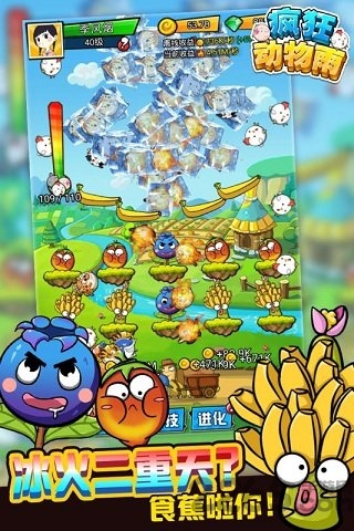 疯狂动物雨内购破解版