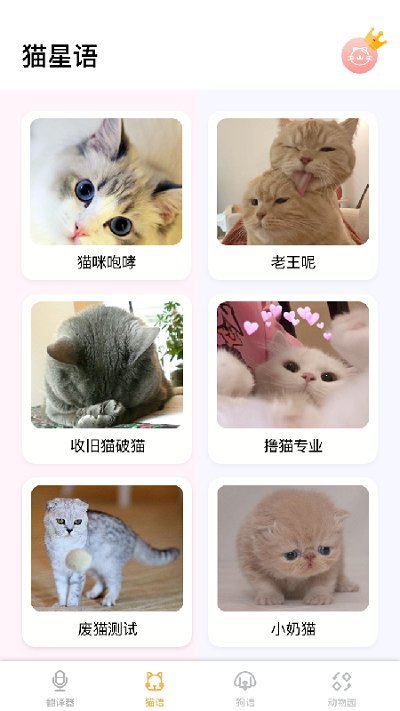 猫语翻译大师app