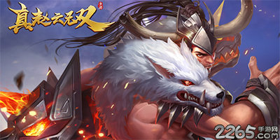 真赵云无双