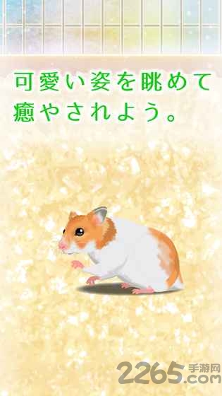 治愈仓鼠养成中文破解版