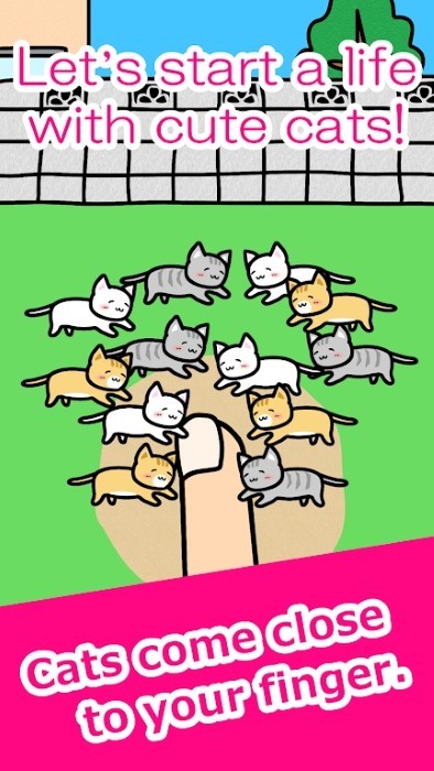手指小猫游戏(play with cats)