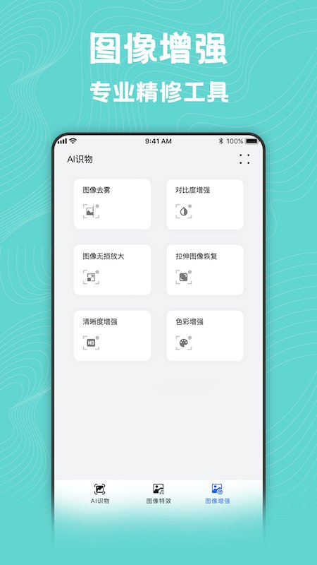 图片动漫风格转换大师软件