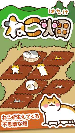 猫咪田园破解版