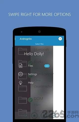 andrognito汉化版