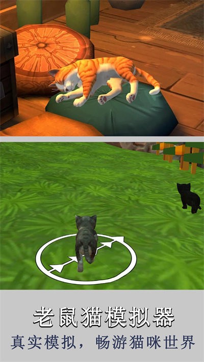 老鼠猫模拟器手机版 老鼠猫模拟器游戏下载安装