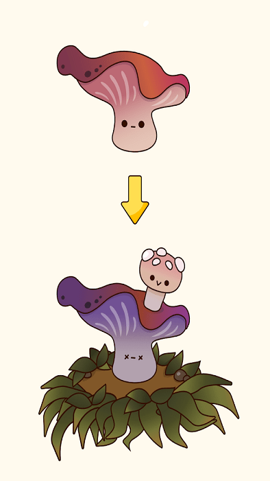 蘑菇故事点击器游戏(mushroom stories clicker)