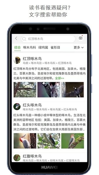 拍照识万物软件(改名万物识别)