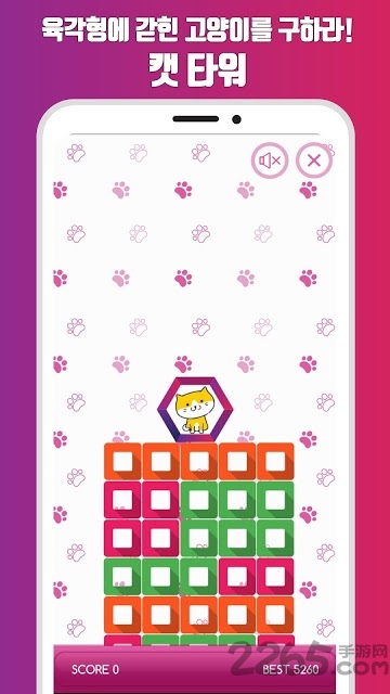 猫塔六角方块官方版