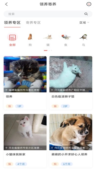 四季逗app