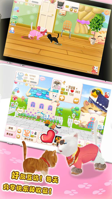 晴天小猫最新版