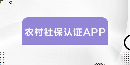 农村社保认证app