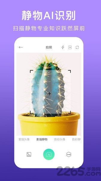 美术拍app