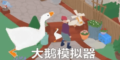 大鹅模拟器