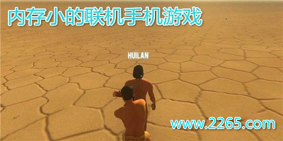 内存小的联机游戏