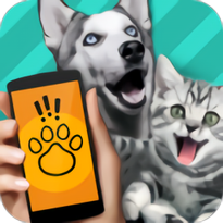 长须猫app