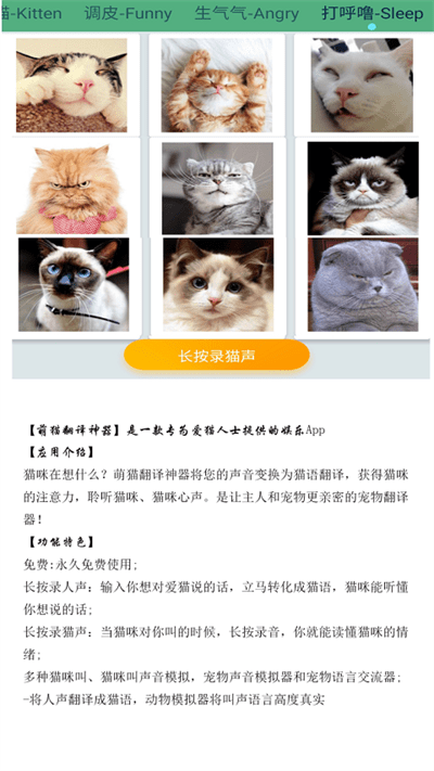 晋江猫语翻译器官方版