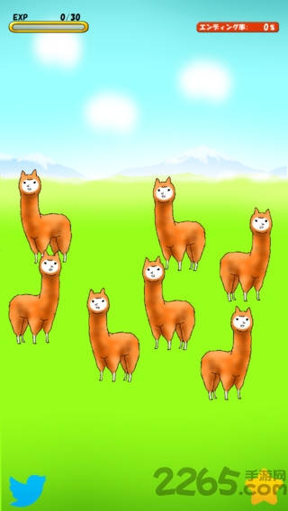 兄贵羊驼官方手机版(alpaca)