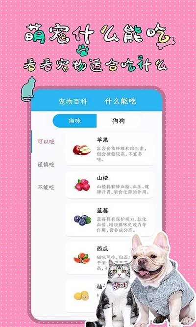 人猫人狗翻译交流器免费版