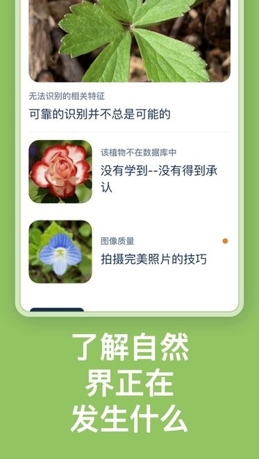 flora incognita app自动植物识别免费版
