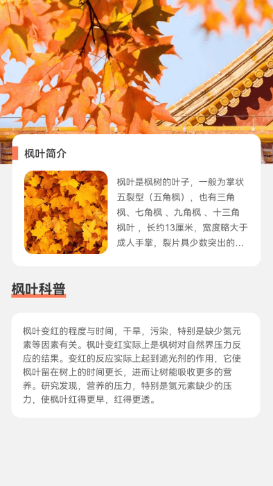 枫叶流量app