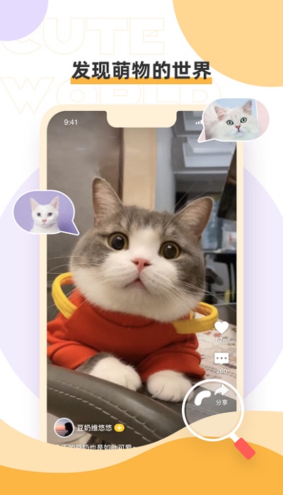 绒语官方版