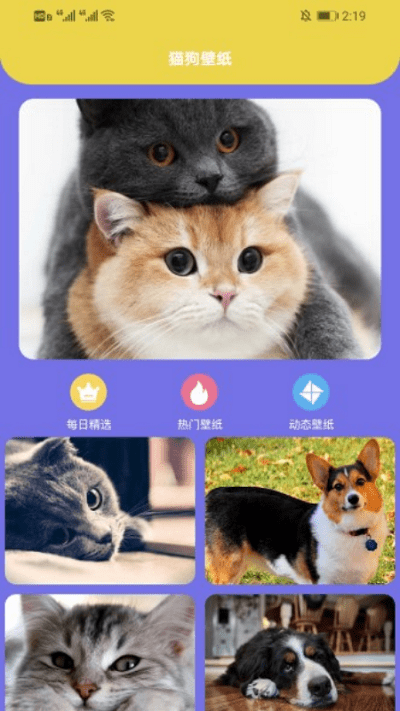遇见你的猫狗软件