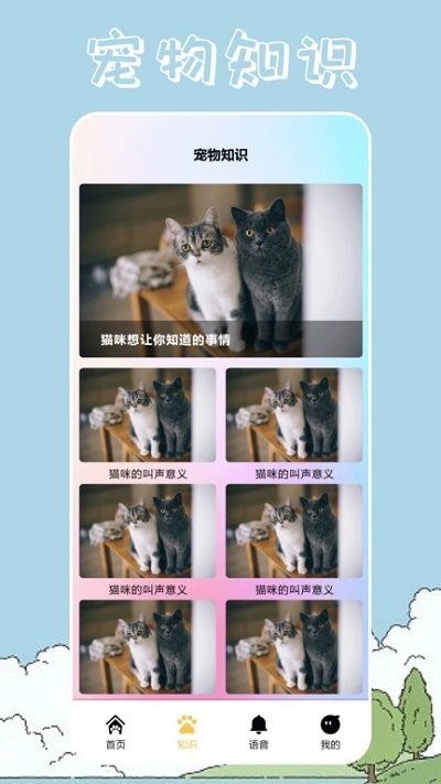 桌面宠物壁纸app