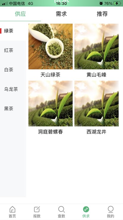 茶数app官方版