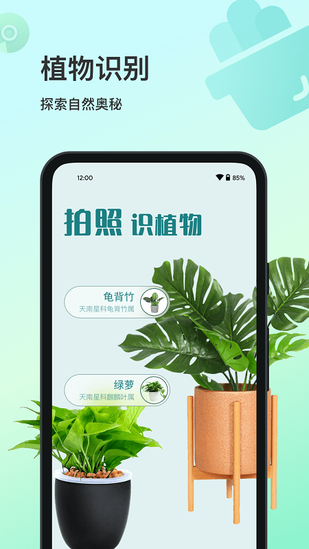 花卉识别大全官方版
