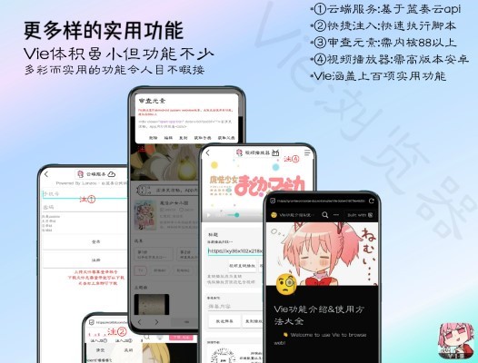 vie浏览器手机版