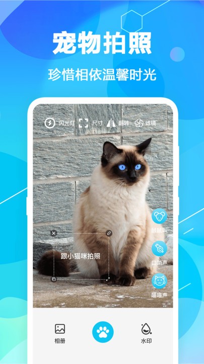 猫语翻译精灵app