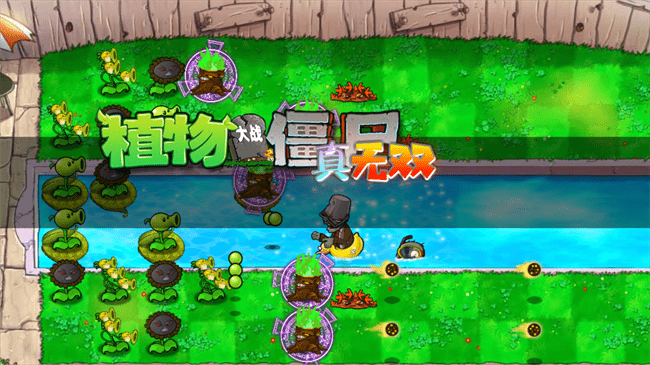 植物大战僵尸真无双版2025新版本