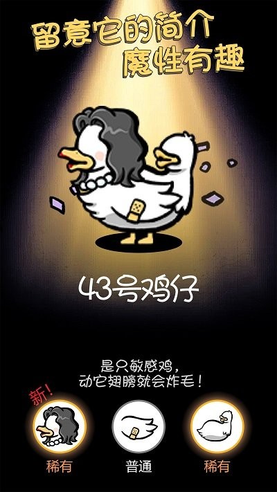 小鸡真奇怪游戏