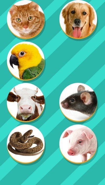 pet translator app