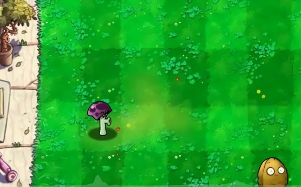 植物大战僵尸胆小菇之梦手机版
