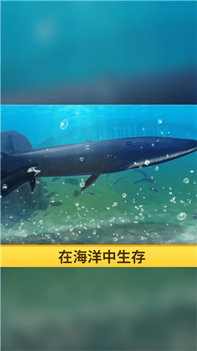 海洋3d蓝鲸模拟手机版