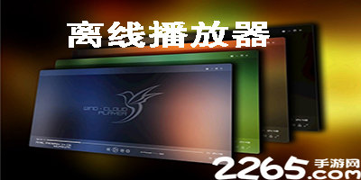 离线播放器