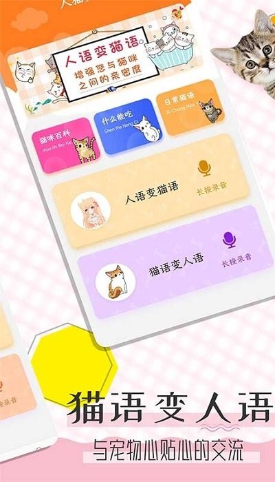猫语翻译宝软件