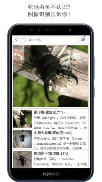 拍照识万物软件(改名万物识别)