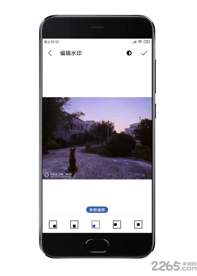 水印大法最新版