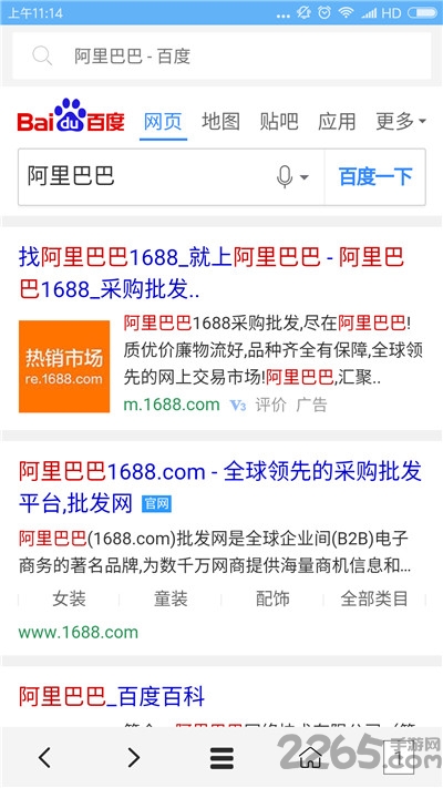 vip浏览器app