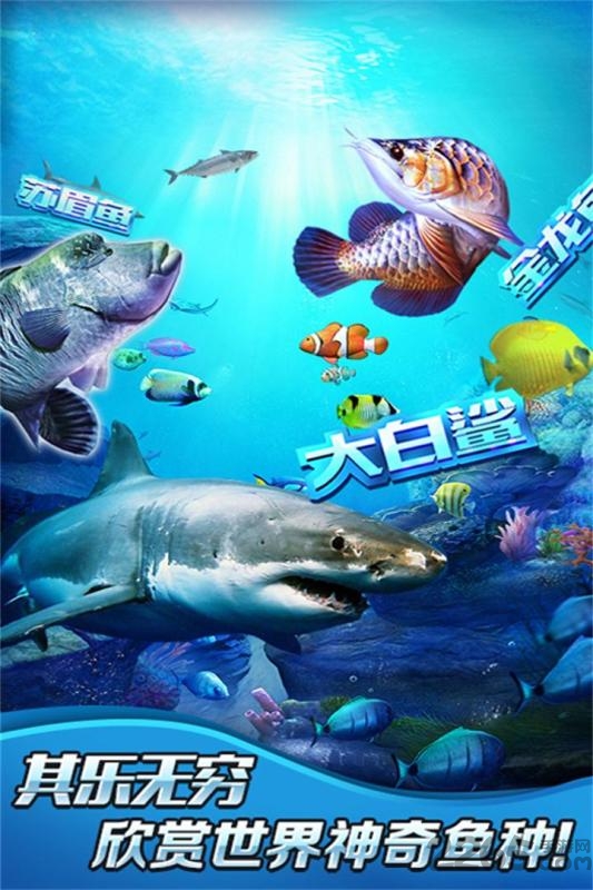 全民钓鱼3d破解版