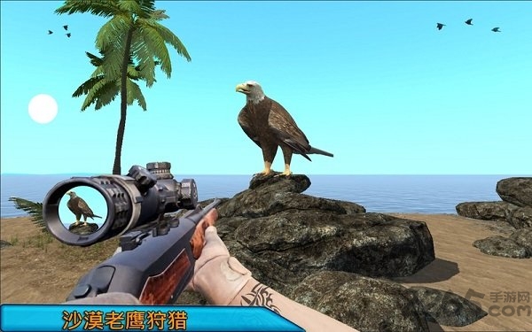 沙漠鸟类狙击手官方版