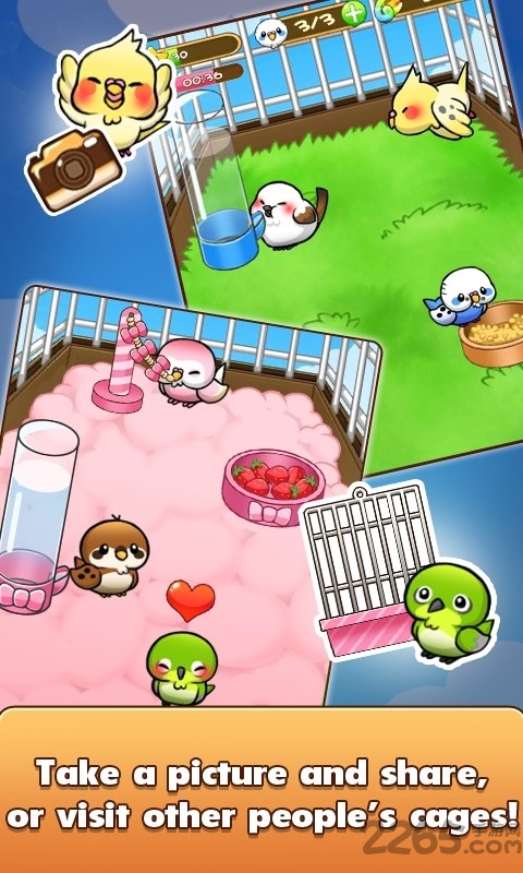 bird life游戏