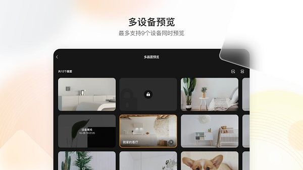 乐橙hd版 乐橙hd最新版下载