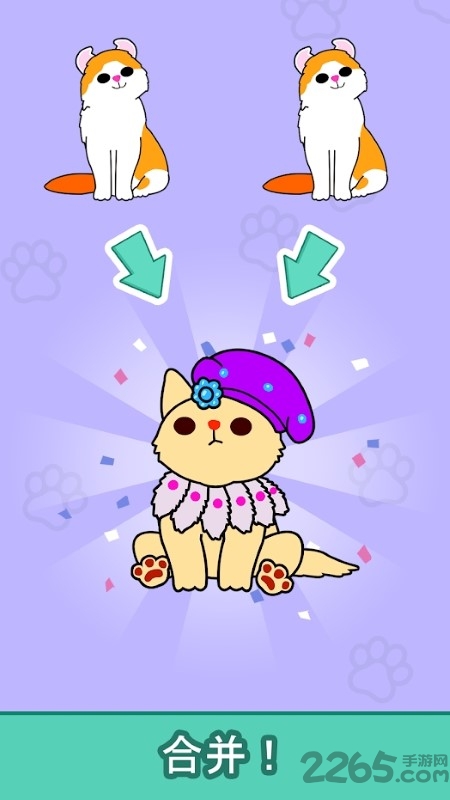 心动契约猫咪进化论