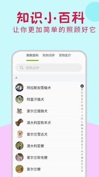 小狗翻译器免费版下载