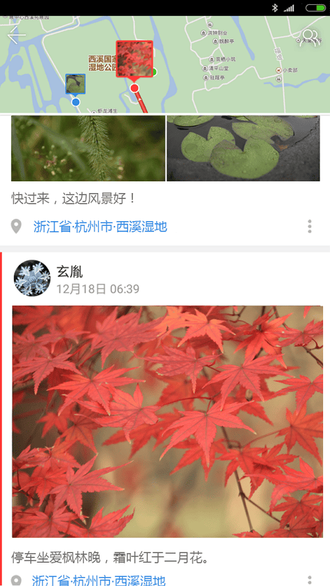 七花轻旅手机版